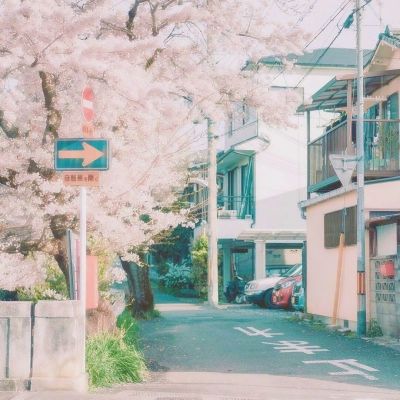 从太空育种到产业壮大，江西广昌——太空莲 致富莲