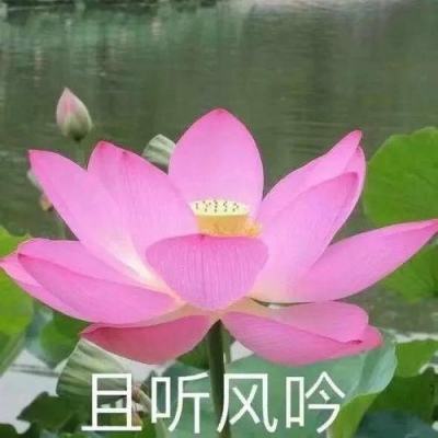 可拉伸电子皮肤实现稳定压力传感