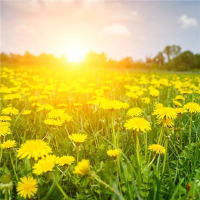 首届“上海之夏”国际消费季今年7月开幕！更多上海消费攻略看这里→