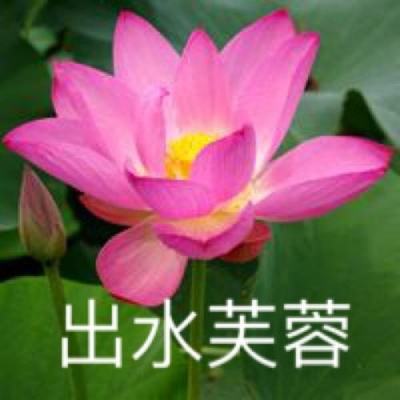 莫以“假节俭”遮盖“真浪费”