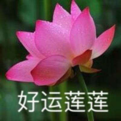 追寻榜样之光，绽放青春光彩