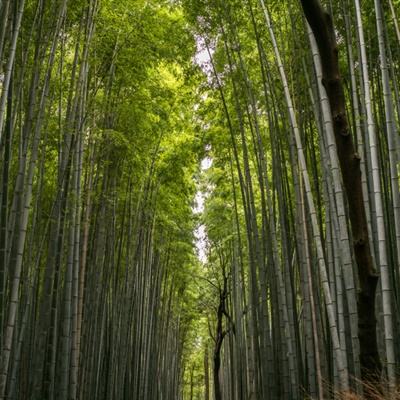 “生育友好”体现在细节里