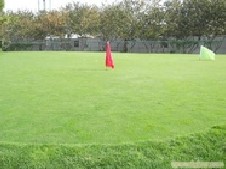 民生银行信用卡享石家庄市植物园高尔夫球俱乐部8折优惠,卡宝宝网