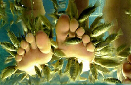 刷中信银行信用卡享呼和浩特市渔医生鱼疗馆（万达店）5折优惠,卡宝宝网