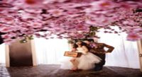 刷光大银行信用卡可享哈尔滨市南岗区新新娘婚纱摄影影楼活动优惠,卡宝宝网