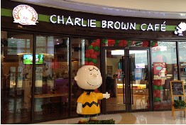 刷中信银行信用卡享合肥查理布朗8.8折优惠,卡宝宝网